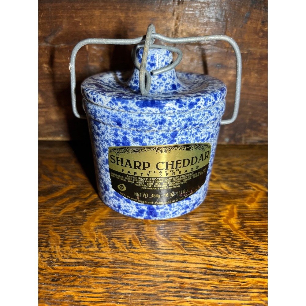 Vintage Pine River Blue Spongeware Stoneware Crock with Lid and Wire Bale Handle